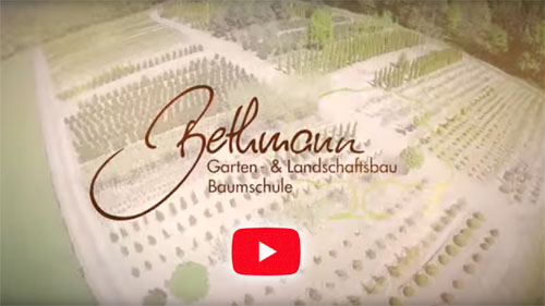 Rudi Schubert, Schubert-Fotografie, Studio für professionelle Werbefotografie, junges kreatives Team, Werbefotografie Münster, Werbefotografie Osnabrück, Werbefotografie