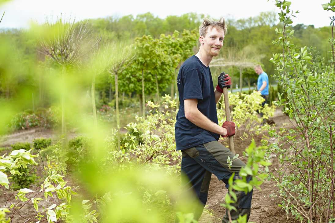 Rudi Schubert, Schubert-Fotografie, Studio für professionelle Werbefotografie, junges kreatives Team, Werbefotografie Münster, Werbefotografie Osnabrück, Werbefotografie, Imagefotografie, Bethmann Garten- & Landschaftsbau, Gartenbau, Landschaftsbau, Baumschule, Forstbetrieb, Forstarbeiten, Green Market