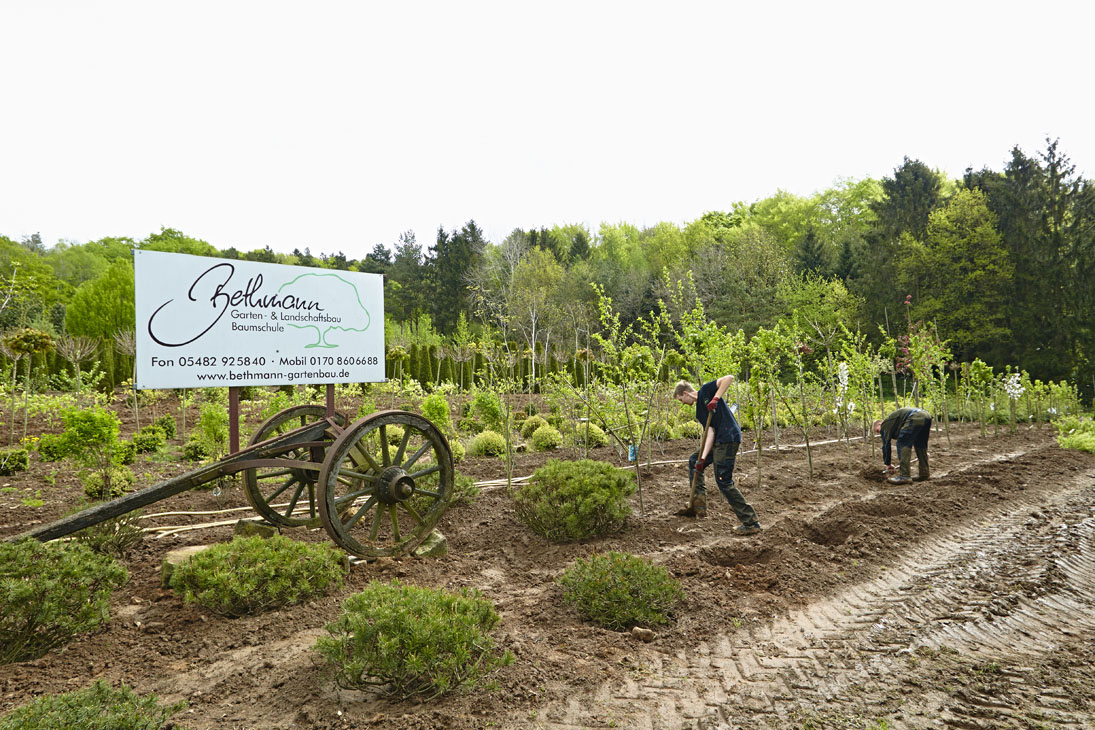Rudi Schubert, Schubert-Fotografie, Studio für professionelle Werbefotografie, junges kreatives Team, Werbefotografie Münster, Werbefotografie Osnabrück, Werbefotografie, Imagefotografie, Bethmann Garten- & Landschaftsbau, Gartenbau, Landschaftsbau, Baumschule, Forstbetrieb, Forstarbeiten, Green Market