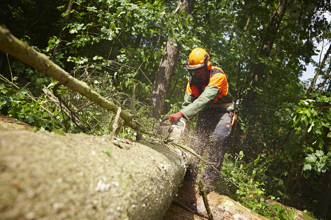 Rudi Schubert, Schubert-Fotografie, Studio für professionelle Werbefotografie, junges kreatives Team, Werbefotografie Münster, Werbefotografie Osnabrück, Werbefotografie, Imagefotografie, Bethmann Garten- & Landschaftsbau, Gartenbau, Landschaftsbau, Baumschule, Forstbetrieb, Forstarbeiten, Green Market