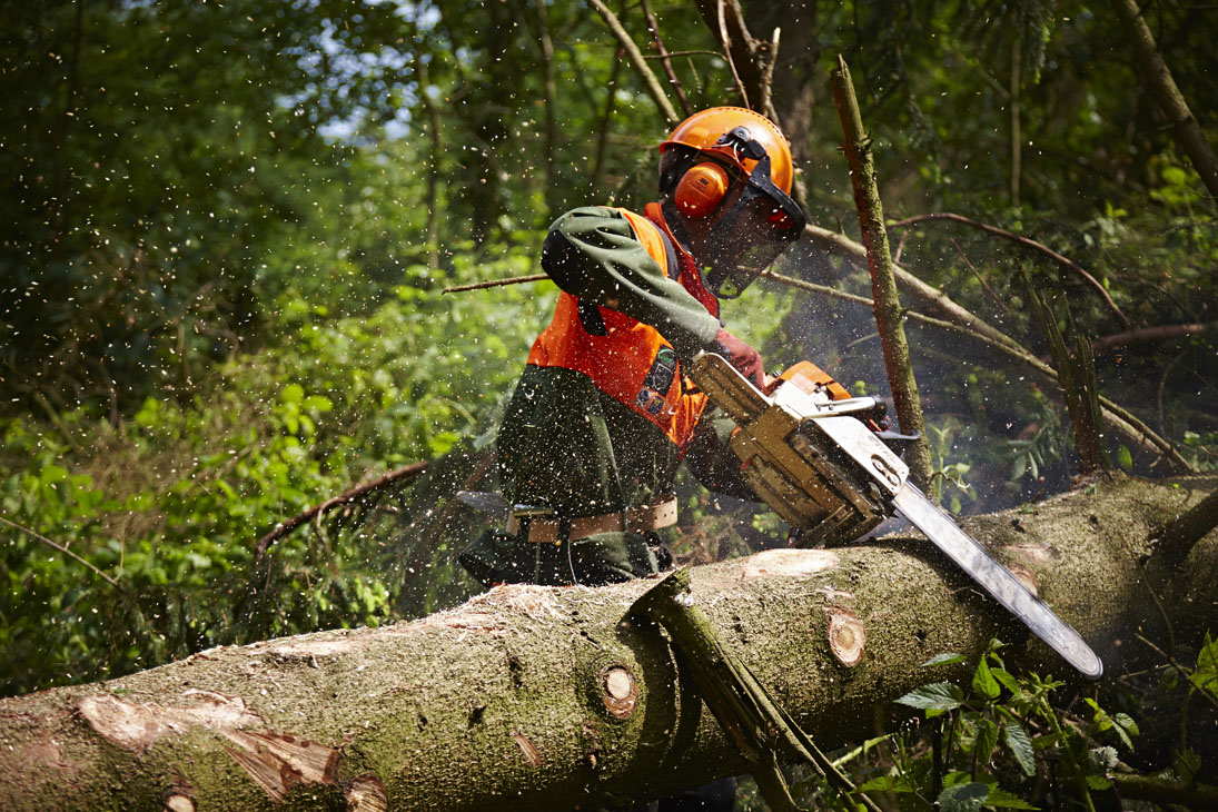 Rudi Schubert, Schubert-Fotografie, Studio für professionelle Werbefotografie, junges kreatives Team, Werbefotografie Münster, Werbefotografie Osnabrück, Werbefotografie, Imagefotografie, Bethmann Garten- & Landschaftsbau, Gartenbau, Landschaftsbau, Baumschule, Forstbetrieb, Forstarbeiten, Green Market