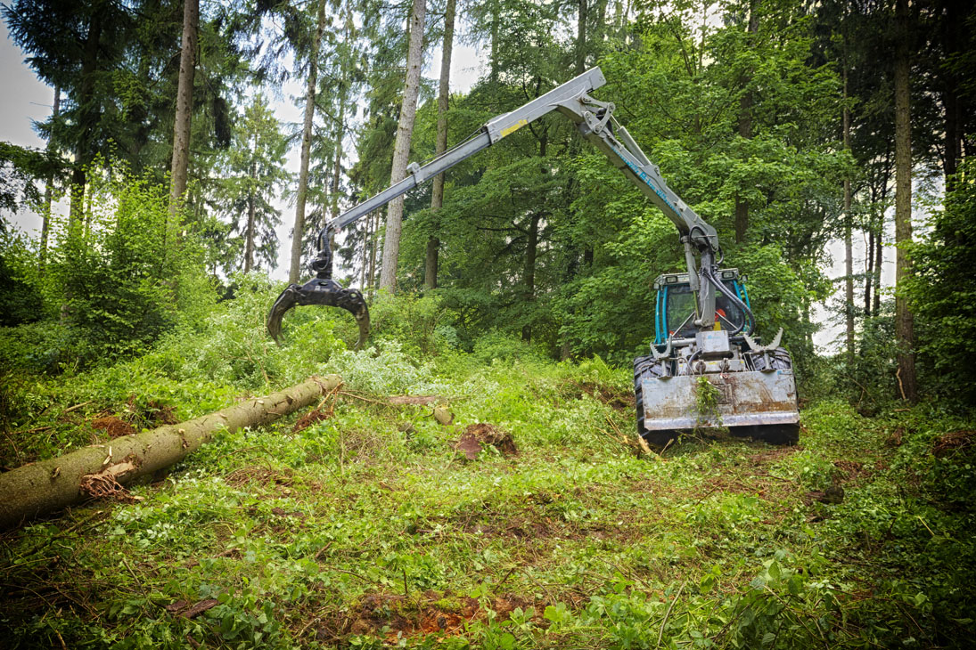 Rudi Schubert, Schubert-Fotografie, Studio für professionelle Werbefotografie, junges kreatives Team, Werbefotografie Münster, Werbefotografie Osnabrück, Werbefotografie, Imagefotografie, Bethmann Garten- & Landschaftsbau, Gartenbau, Landschaftsbau, Baumschule, Forstbetrieb, Forstarbeiten, Green Market