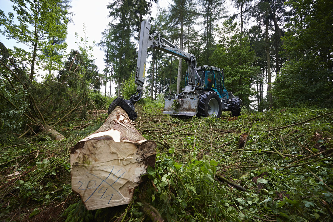 Rudi Schubert, Schubert-Fotografie, Studio für professionelle Werbefotografie, junges kreatives Team, Werbefotografie Münster, Werbefotografie Osnabrück, Werbefotografie, Imagefotografie, Bethmann Garten- & Landschaftsbau, Gartenbau, Landschaftsbau, Baumschule, Forstbetrieb, Forstarbeiten, Green Market