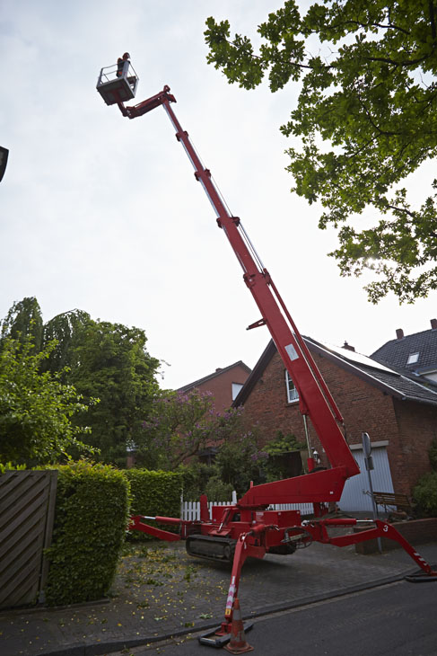 Rudi Schubert, Schubert-Fotografie, Studio für professionelle Werbefotografie, junges kreatives Team, Werbefotografie Münster, Werbefotografie Osnabrück, Werbefotografie, Imagefotografie, Bethmann Garten- & Landschaftsbau, Gartenbau, Landschaftsbau, Baumschule, Forstbetrieb, Forstarbeiten, Green Market