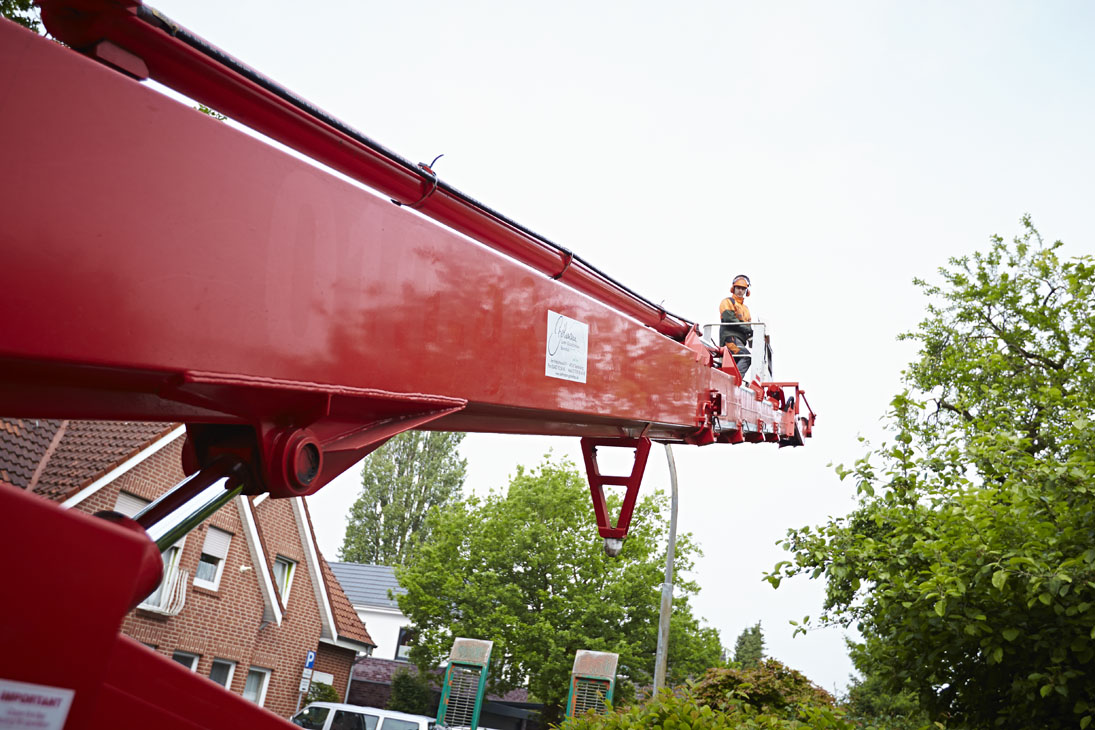 Rudi Schubert, Schubert-Fotografie, Studio für professionelle Werbefotografie, junges kreatives Team, Werbefotografie Münster, Werbefotografie Osnabrück, Werbefotografie, Imagefotografie, Bethmann Garten- & Landschaftsbau, Gartenbau, Landschaftsbau, Baumschule, Forstbetrieb, Forstarbeiten, Green Market