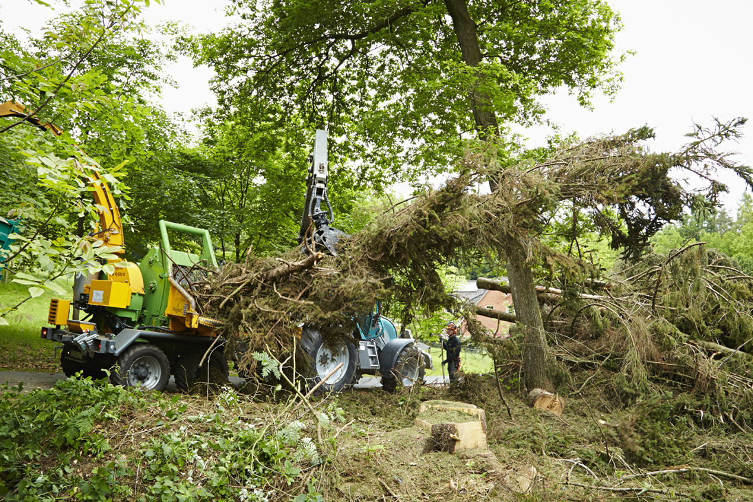 Rudi Schubert, Schubert-Fotografie, Studio für professionelle Werbefotografie, junges kreatives Team, Werbefotografie Münster, Werbefotografie Osnabrück, Werbefotografie, Imagefotografie, Bethmann Garten- & Landschaftsbau, Gartenbau, Landschaftsbau, Baumschule, Forstbetrieb, Forstarbeiten, Green Market