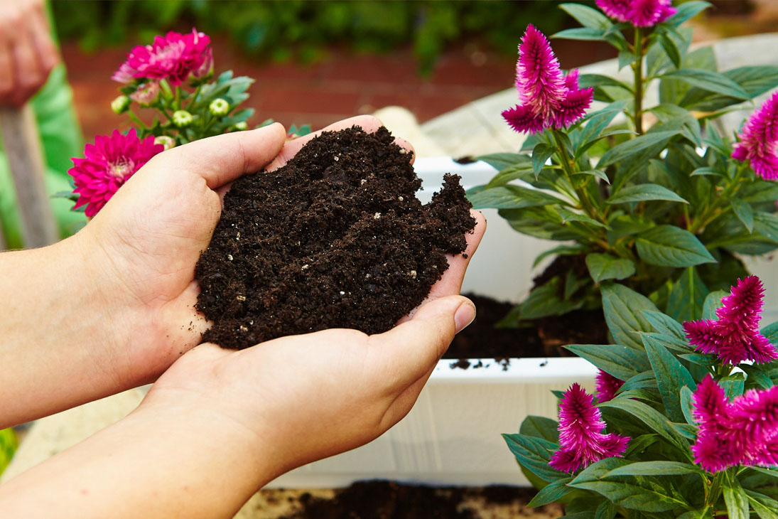 Rudi Schubert, Schubert-Fotografie, Studio für professionelle Werbefotografie, junges kreatives Team, Werbefotografie Münster, Werbefotografie Osnabrück, Werbefotografie, Compo Sana, Compo, Blumenerde, Pflanzendünger, Düngemittel, Garten, Floristik, Green Market