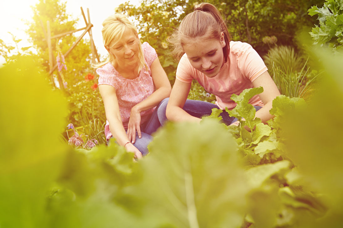 Rudi Schubert, Schubert-Fotografie, Studio für professionelle Werbefotografie, junges kreatives Team, Werbefotografie Münster, Werbefotografie Osnabrück, Werbefotografie, Floragard, Blumenerde, Pflanzen, Floristik, Garten, Green Market