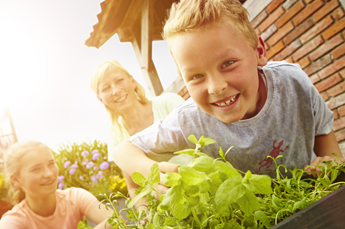 Rudi Schubert, Schubert-Fotografie, Studio für professionelle Werbefotografie, junges kreatives Team, Werbefotografie Münster, Werbefotografie Osnabrück, Werbefotografie, Floragard, Blumenerde, Pflanzen, Floristik, Garten, Green Market