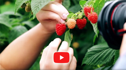 Rudi Schubert, Schubert-Fotografie, Studio für professionelle Werbefotografie, junges kreatives Team, Werbefotografie Münster, Werbefotografie Osnabrück, Werbefotografie