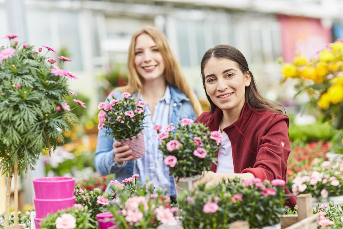 Rudi Schubert, Schubert-Fotografie, Studio für professionelle Werbefotografie, junges kreatives Team, Werbefotografie Münster, Werbefotografie Osnabrück, Werbefotografie, Das Grüne Medienhaus, Gartenbau, Green Market