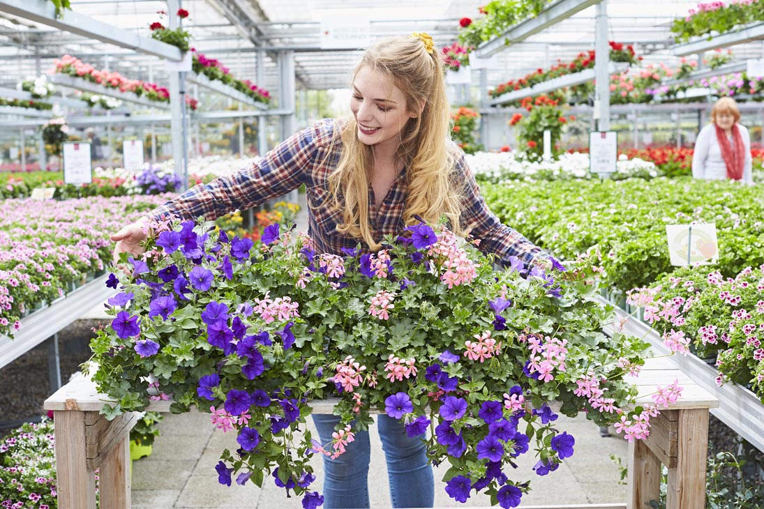 Rudi Schubert, Schubert-Fotografie, Studio für professionelle Werbefotografie, junges kreatives Team, Werbefotografie Münster, Werbefotografie Osnabrück, Werbefotografie, Das Grüne Medienhaus, Gartenbau, Green Market