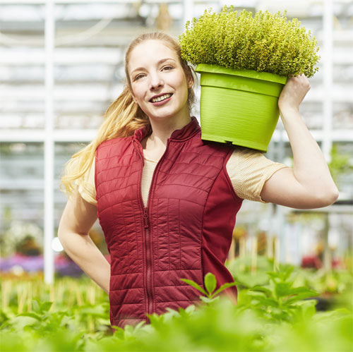 Rudi Schubert, Schubert-Fotografie, Werbefotograf Münsterland, Fotograf Münsterland, Fotograf Münster, Fotograf Osnabrück, Fotograf Osnabrücker Land, Studio für professionelle Werbefotografie, Werbefotografie Münster, Werbefotografie Osnabrück, Werbefotografie, Green Market, Grünes Medienhaus, Bienenshooting