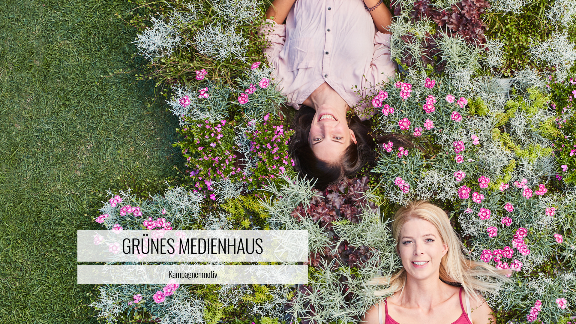 Rudi Schubert, Schubert-Fotografie, Studio für professionelle Werbefotografie, Werbefotografie Münster, Werbefotografie Osnabrück, Werbefotografie Münsterland, Fotograf Münsterland, Fotograf Münster, Fotograf Osnabrück, Fotograf Osnabrücker Land, Anzeigen-Fotografie, Hortensien, Euphorbia pulcherrima, Helleborus, Schneerose, Schwarze Nieswurz, Hahnenfußgewächs, GMH, Das grüne Medienhaus