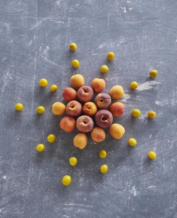 Rudi Schubert, Schubert-Fotografie, Studio für professionelle Werbefotografie, junges kreatives Team, Werbefotografie Münster, Werbefotografie Osnabrück, Werbefotografie,  Food-Fotografie, Produktfotografie, Stillleben