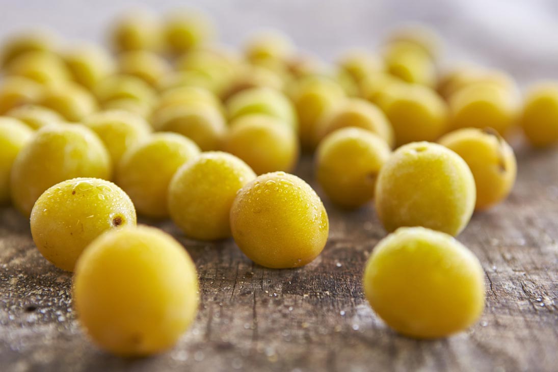 Rudi Schubert, Schubert-Fotografie, Studio für professionelle Werbefotografie, junges kreatives Team, Werbefotografie Münster, Werbefotografie Osnabrück, Werbefotografie,  Food-Fotografie, Produktfotografie, Stillleben