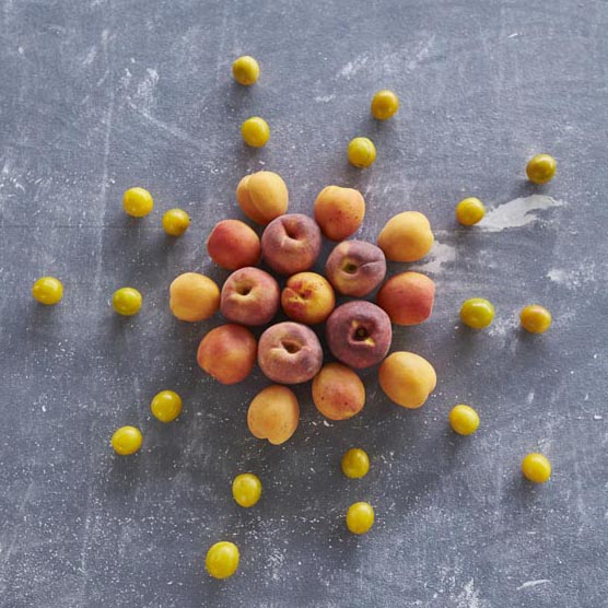 Rudi Schubert, Schubert-Fotografie, Werbefotograf Münsterland, Fotograf Münsterland, Fotograf Münster, Fotograf Osnabrück, Fotograf Osnabrücker Land, Studio für professionelle Werbefotografie, junges kreatives Team, Werbefotografie Münster, Werbefotografie Osnabrück, Werbefotografie, Imagefotografie, Grünes Medienhaus