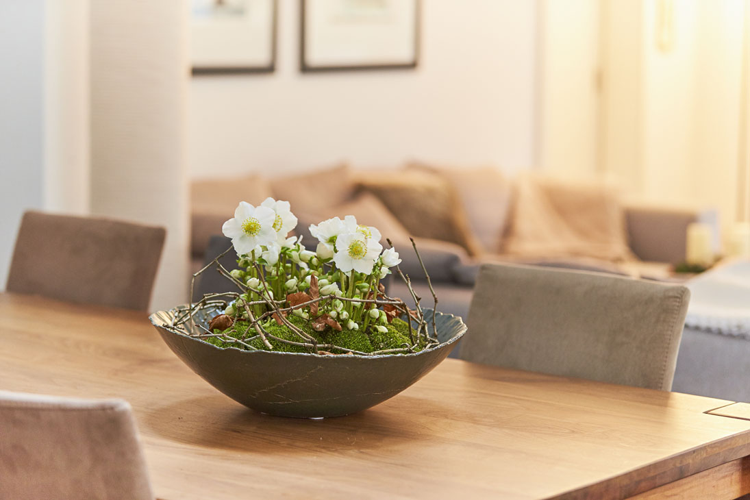 Rudi Schubert, Schubert-Fotografie, Studio für professionelle Werbefotografie, junges kreatives Team, Werbefotografie Münster, Werbefotografie Osnabrück, Werbefotografie, Produktfotografie, Stillleben, Heuger Christrosen, Heuger Gartenbaubetrieb, Floristik, Pflanzen, Blumen, Green Market