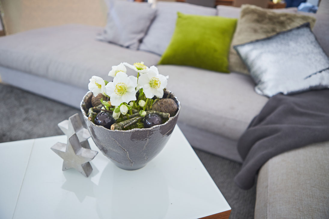 Rudi Schubert, Schubert-Fotografie, Studio für professionelle Werbefotografie, junges kreatives Team, Werbefotografie Münster, Werbefotografie Osnabrück, Werbefotografie, Produktfotografie, Stillleben, Heuger Christrosen, Heuger Gartenbaubetrieb, Floristik, Pflanzen, Blumen, Green Market