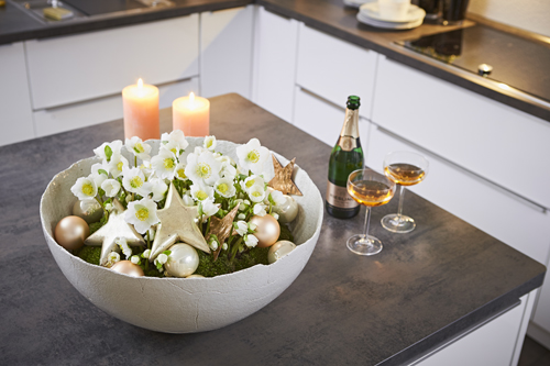 Rudi Schubert, Schubert-Fotografie, Studio für professionelle Werbefotografie, junges kreatives Team, Werbefotografie Münster, Werbefotografie Osnabrück, Werbefotografie, Produktfotografie, Stillleben, Heuger Christrosen, Heuger Gartenbaubetrieb, Floristik, Pflanzen, Blumen, Green Market