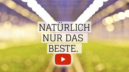 Rudi Schubert, Schubert-Fotografie, Studio für professionelle Werbefilme, Film- und Videoproduktion Münster, Film- und Videoproduktion Münsterland, Film- und Videoproduktion Osnabrück, Film- und Videoproduktion Deutschland, Schubert Film- und Videoproduktion, Imagefilme für Social Media Kampagnen