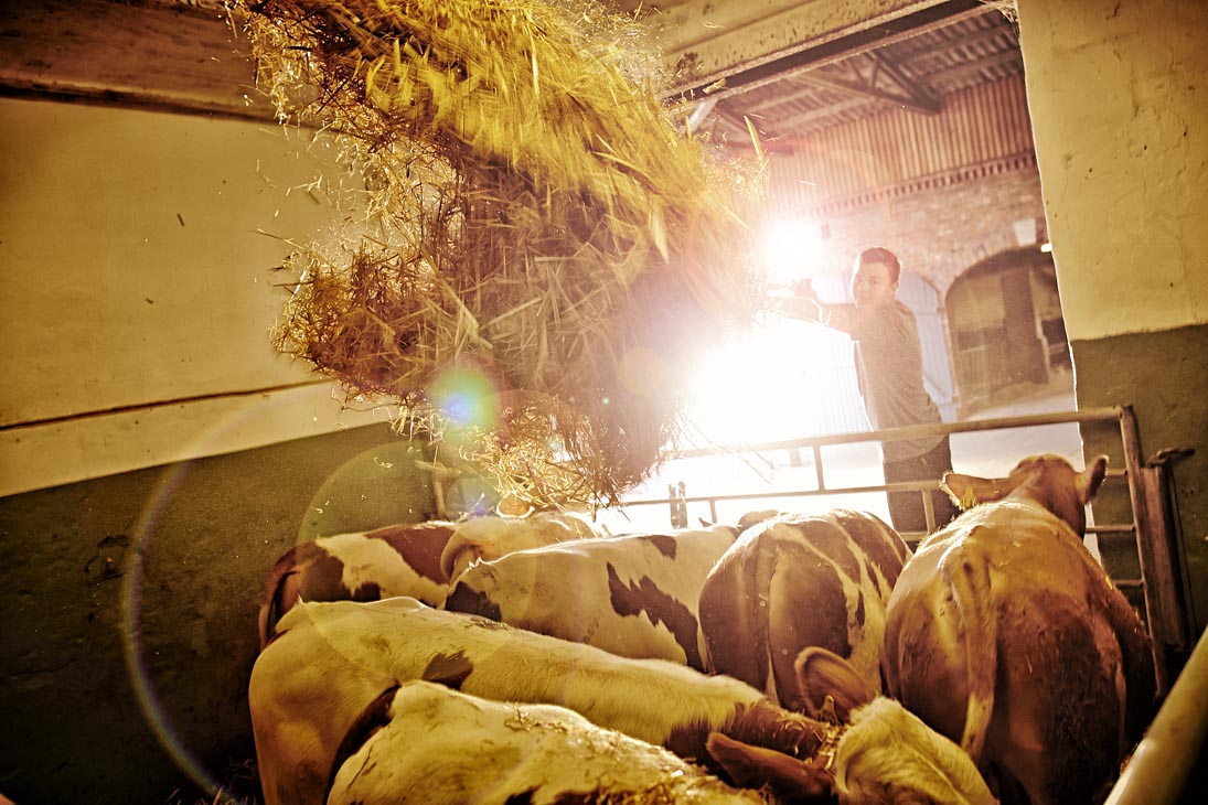 Rudi Schubert, Schubert-Fotografie, Studio für professionelle Werbefotografie, junges kreatives Team, Werbefotografie Münster, Werbefotografie Osnabrück, Werbefotografie, Imagefotografie, Kornbrennerei Gerbermann, Korn, Wein