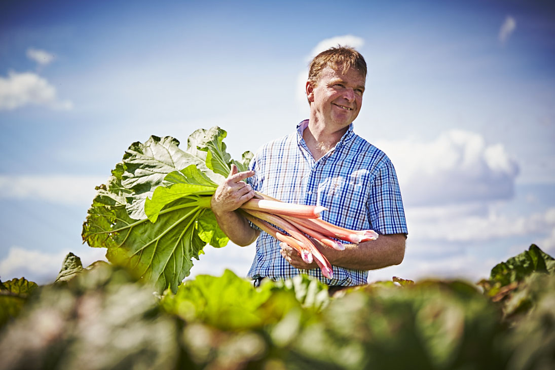 Rudi Schubert, Schubert-Fotografie, Studio für professionelle Werbefotografie, junges kreatives Team, Werbefotografie Münster, Werbefotografie Osnabrück, Werbefotografie, Porträt, Porträtfotografie, Imagefotografie, Landgard Erzeugerportraits, Landgard, Landgard, Landwirtschaft, Gemüseanbau, Gemüsefeld, Acker, Landwirt, Green Market