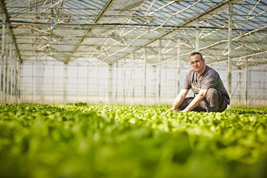 Rudi Schubert, Schubert-Fotografie, Studio für professionelle Werbefotografie, junges kreatives Team, Werbefotografie Münster, Werbefotografie Osnabrück, Werbefotografie, Porträt, Porträtfotografie, Imagefotografie, Landgard Erzeugerportraits, Landgard, Landgard, Landwirtschaft, Gemüseanbau, Gemüsefeld, Acker, Landwirt, Green Market