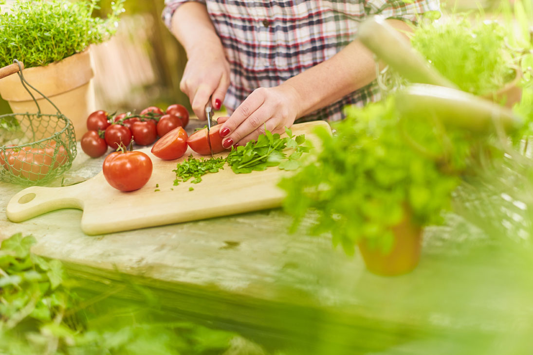 Rudi Schubert, Schubert-Fotografie, Studio für professionelle Werbefotografie, junges kreatives Team, Werbefotografie Münster, Werbefotografie Osnabrück, Werbefotografie, Imagefotografie, Landgard, Floristik, Pflanzen, Blumen, Garten, Marketing, Green Market