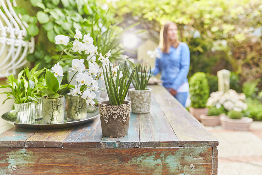 Rudi Schubert, Schubert-Fotografie, Studio für professionelle Werbefotografie, junges kreatives Team, Werbefotografie Münster, Werbefotografie Osnabrück, Werbefotografie, Imagefotografie, Landgard, Floristik, Pflanzen, Blumen, Garten, Marketing, Green Market