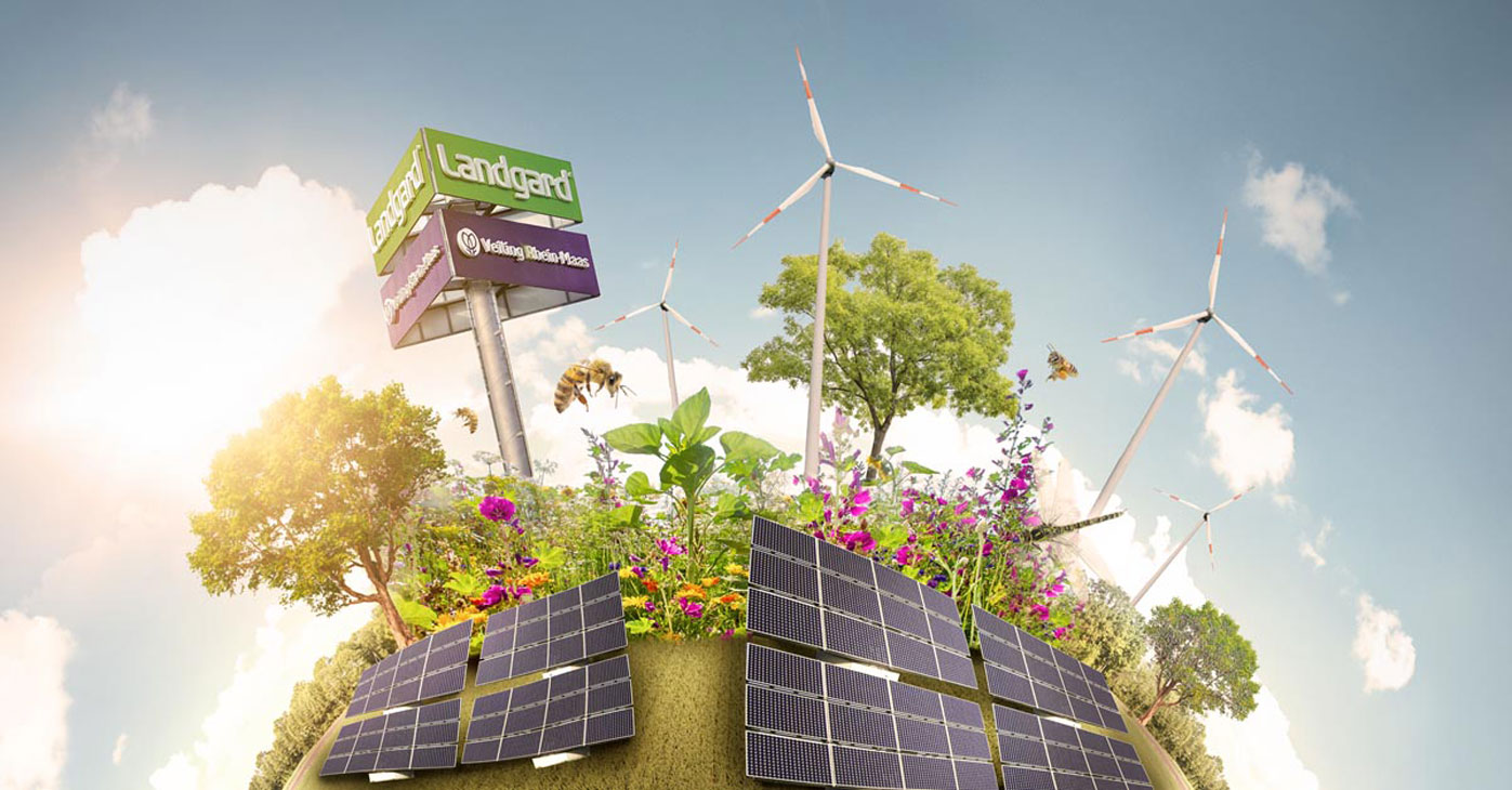 Rudi Schubert, Schubert-Fotografie, Studio für professionelle Werbefotografie, Werbefotografie Münster, Werbefotografie Osnabrück, Werbefotografie, Porträt, Porträtfotografie, Imagefotografie, Landgard Erzeugerportraits, Landgard, Landgard, Landwirtschaft, Gemüseanbau, Gemüsefeld, Acker, Landwirt, Green Market