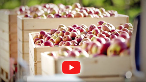 Rudi Schubert, Schubert-Fotografie, Studio für professionelle Werbefotografie, junges kreatives Team, Werbefotografie Münster, Werbefotografie Osnabrück, Werbefotografie