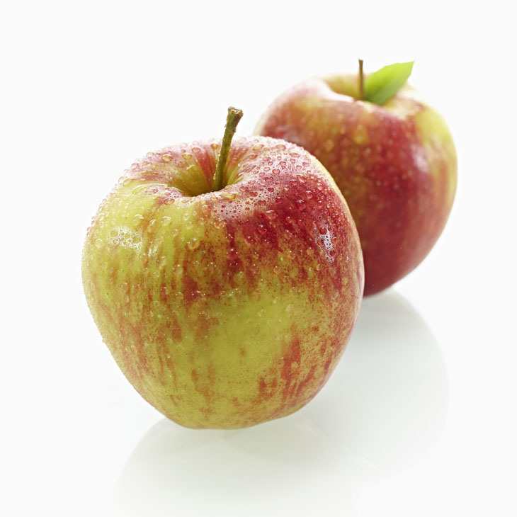 Rudi Schubert, Schubert-Fotografie, Studio für professionelle Werbefotografie, junges kreatives Team, Werbefotografie Münster, Werbefotografie Osnabrück, Werbefotografie,  Food-Fotografie, Stillleben, Moje Apfelsorten, Obsthof Moje, Obst, Äpfel