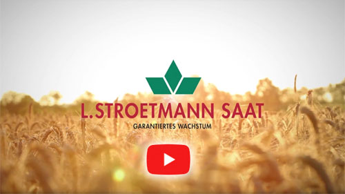 Rudi Schubert, Schubert-Fotografie, Studio für professionelle Werbefotografie, junges kreatives Team, Werbefotografie Münster, Werbefotografie Osnabrück, Werbefotografie