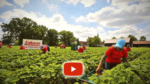 Rudi Schubert, Schubert-Fotografie, Studio für professionelle Werbefilme, Film- und Videoproduktion Münster, Film- und Videoproduktion Münsterland, Film- und Videoproduktion Osnabrück, Film- und Videoproduktion Deutschland, Schubert Film- und Videoproduktion, Imagefilme für Social Media Kampagnen