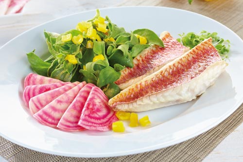 Rudi Schubert, Schubert-Fotografie, Studio für professionelle Werbefotografie, junges kreatives Team, Werbefotografie Münster, Werbefotografie Osnabrück, Werbefotografie,  Food-Fotografie, Stillleben, Stroetmann Gastro, Gastronomie, Restaurant, Gerichte