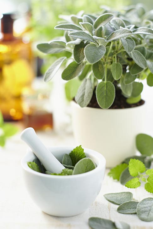 Rudi Schubert, Schubert-Fotografie, Studio für professionelle Werbefotografie, junges kreatives Team, Werbefotografie Münster, Werbefotografie Osnabrück, Werbefotografie, Produktfotografie, Stillleben, Volmary Kräuterkollektion, Volmary GmbH, Kräuter, Kochen, Küche, Pflanzen, Green Market