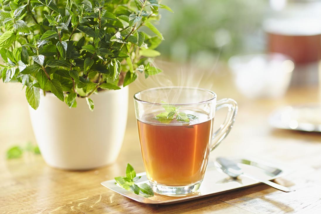 Rudi Schubert, Schubert-Fotografie, Studio für professionelle Werbefotografie, junges kreatives Team, Werbefotografie Münster, Werbefotografie Osnabrück, Werbefotografie, Produktfotografie, Stillleben, Volmary Kräuterkollektion, Volmary GmbH, Kräuter, Kochen, Küche, Pflanzen, Green Market