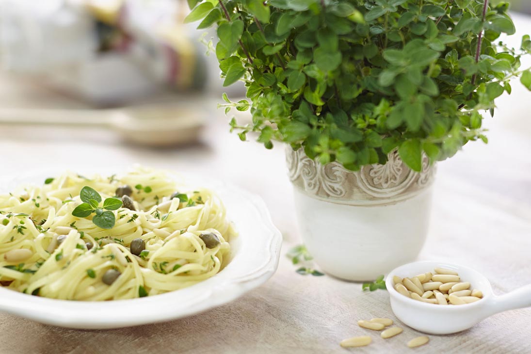 Rudi Schubert, Schubert-Fotografie, Studio für professionelle Werbefotografie, junges kreatives Team, Werbefotografie Münster, Werbefotografie Osnabrück, Werbefotografie, Produktfotografie, Stillleben, Volmary Kräuterkollektion, Volmary GmbH, Kräuter, Kochen, Küche, Pflanzen, Green Market