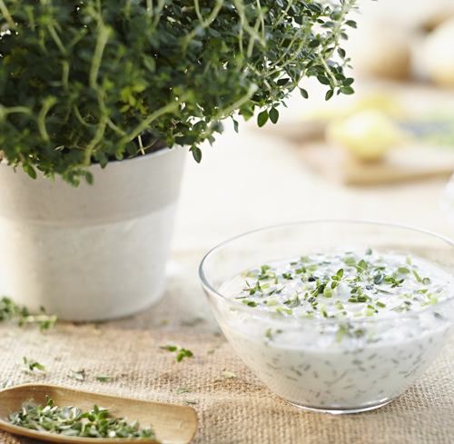 Rudi Schubert, Schubert-Fotografie, Werbefotograf Münsterland, Fotograf Münsterland, Fotograf Münster, Fotograf Osnabrück, Fotograf Osnabrücker Land, Studio für professionelle Werbefotografie, junges kreatives Team, Werbefotografie Münster, Werbefotografie Osnabrück, Werbefotografie, Produktfotografie, Stillleben, Volmary Kräuterkollektion, Volmary GmbH, Kräuter, Kochen, Küche, Pflanzen, Green Market