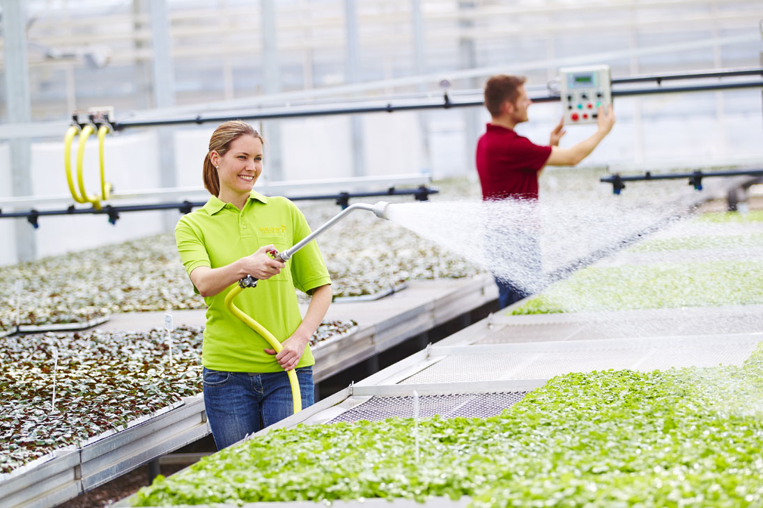 Rudi Schubert, Schubert-Fotografie, Studio für professionelle Werbefotografie, junges kreatives Team, Werbefotografie Münster, Werbefotografie Osnabrück, Werbefotografie, Imagefotografie, Volmary, Floristik, Pflanzenversand, Pflanzenzucht, Green Market