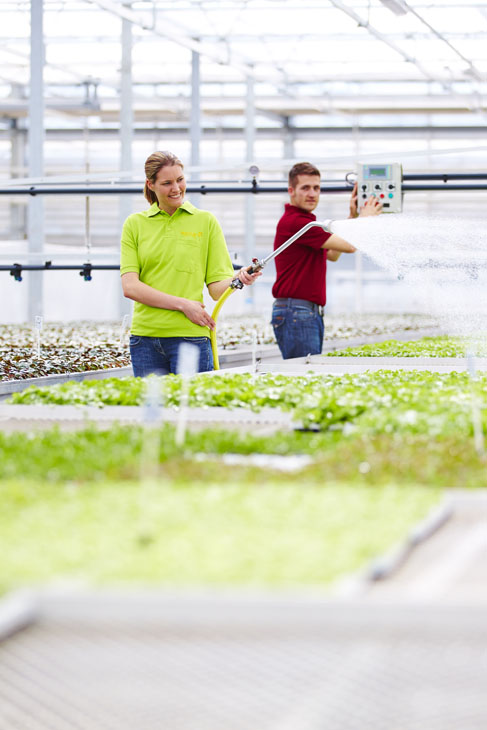 Rudi Schubert, Schubert-Fotografie, Studio für professionelle Werbefotografie, junges kreatives Team, Werbefotografie Münster, Werbefotografie Osnabrück, Werbefotografie, Imagefotografie, Volmary, Floristik, Pflanzenversand, Pflanzenzucht, Green Market