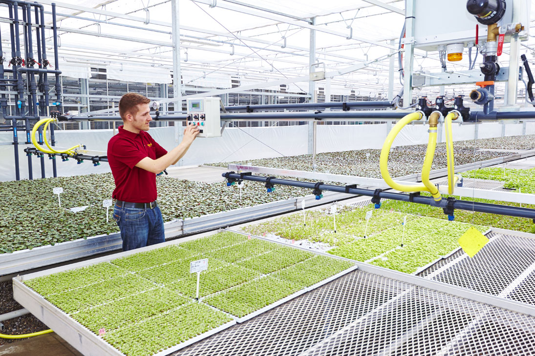 Rudi Schubert, Schubert-Fotografie, Studio für professionelle Werbefotografie, junges kreatives Team, Werbefotografie Münster, Werbefotografie Osnabrück, Werbefotografie, Imagefotografie, Volmary, Floristik, Pflanzenversand, Pflanzenzucht, Green Market