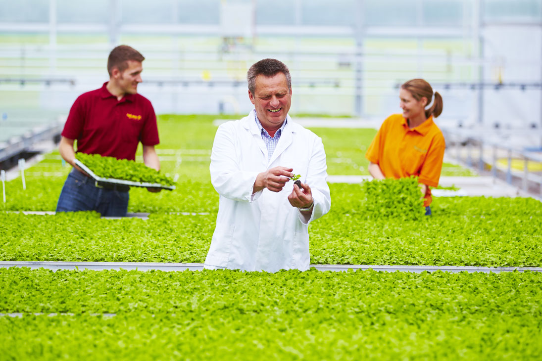 Rudi Schubert, Schubert-Fotografie, Studio für professionelle Werbefotografie, junges kreatives Team, Werbefotografie Münster, Werbefotografie Osnabrück, Werbefotografie, Imagefotografie, Volmary, Floristik, Pflanzenversand, Pflanzenzucht, Green Market