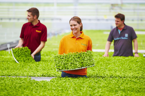 Rudi Schubert, Schubert-Fotografie, Studio für professionelle Werbefotografie, junges kreatives Team, Werbefotografie Münster, Werbefotografie Osnabrück, Werbefotografie, Imagefotografie, Volmary, Floristik, Pflanzenversand, Pflanzenzucht, Green Market