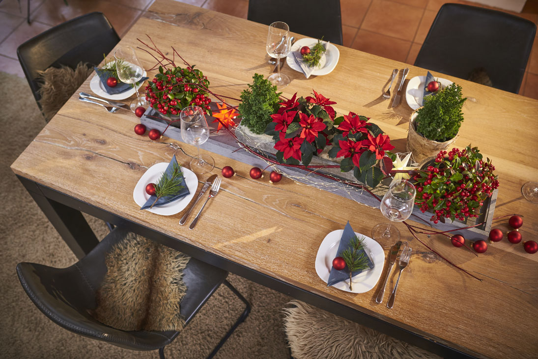 Rudi Schubert, Schubert-Fotografie, Studio für professionelle Werbefotografie, junges kreatives Team, Werbefotografie Münster, Werbefotografie Osnabrück, Werbefotografie, Produktfotografie, Stillleben, Volmary Mix A Twix, Volmary GmbH, Pflanzenhandel, Pflanzenversand, Blumen, Green Market